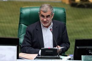 نیکزاد: کمیسیون کشاورزی به موضوع افزایش قیمت برنج ورود کند