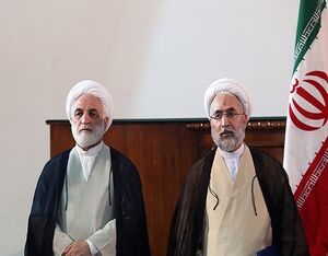 مردم از خودشان دفاع کردند یا از نظام و رهبری؟!/ بسیج مسئولان قوه قضائیه علیه گرانفروشان 3