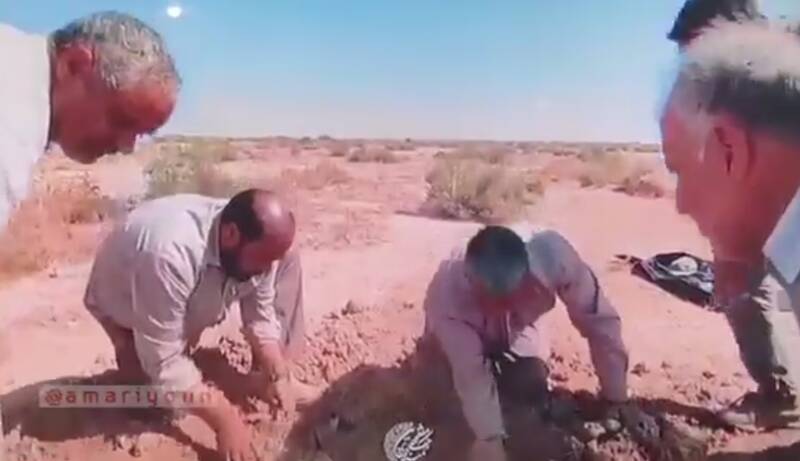 فكه