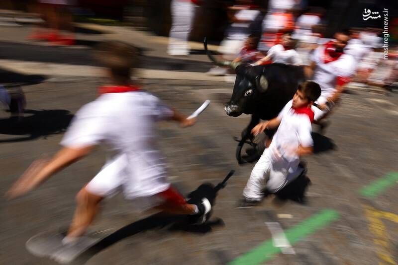 عکس/ گاو بازی اسپانیایی