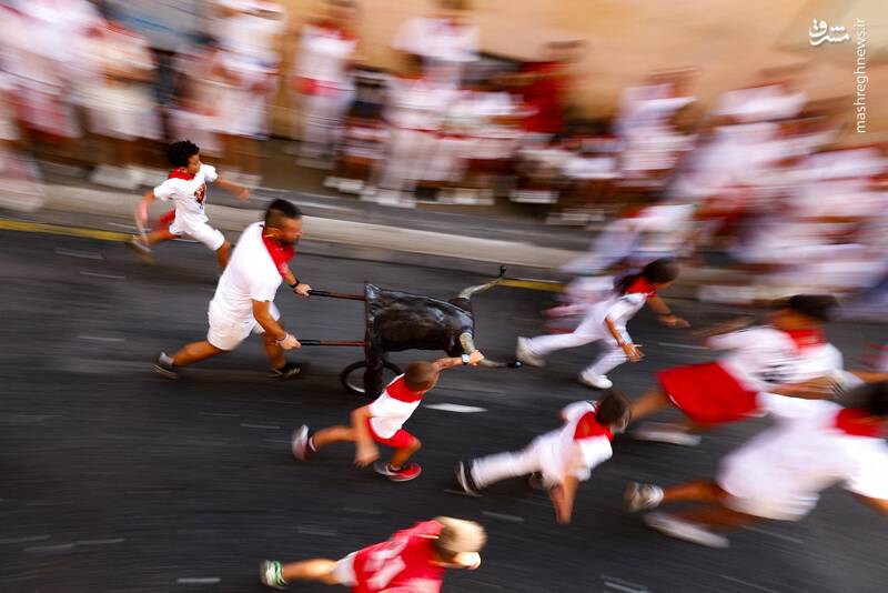 عکس/ گاو بازی اسپانیایی