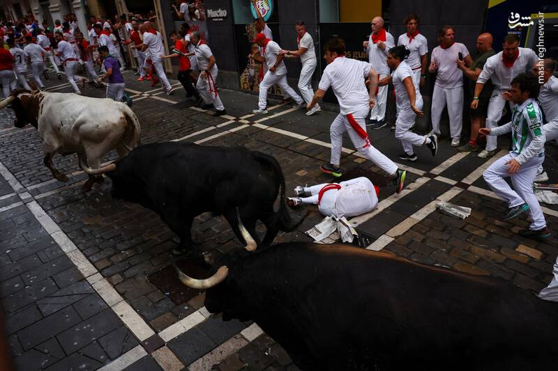 عکس/ گاو بازی اسپانیایی