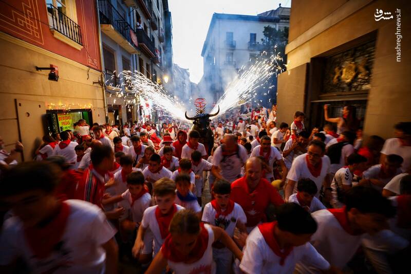 عکس/ گاو بازی اسپانیایی