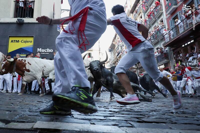 عکس/ گاو بازی اسپانیایی