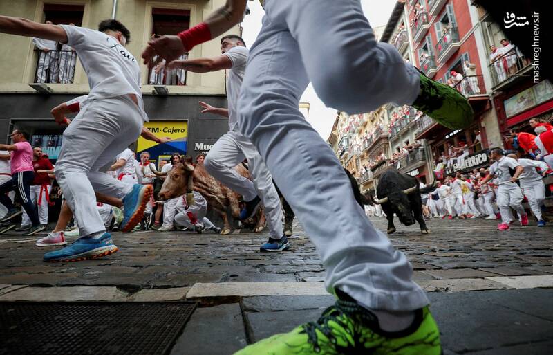 عکس/ گاو بازی اسپانیایی