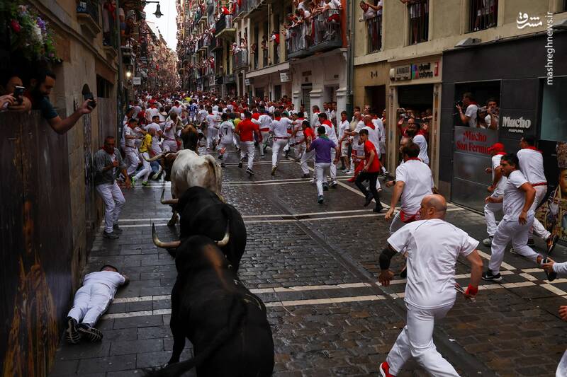 عکس/ گاو بازی اسپانیایی