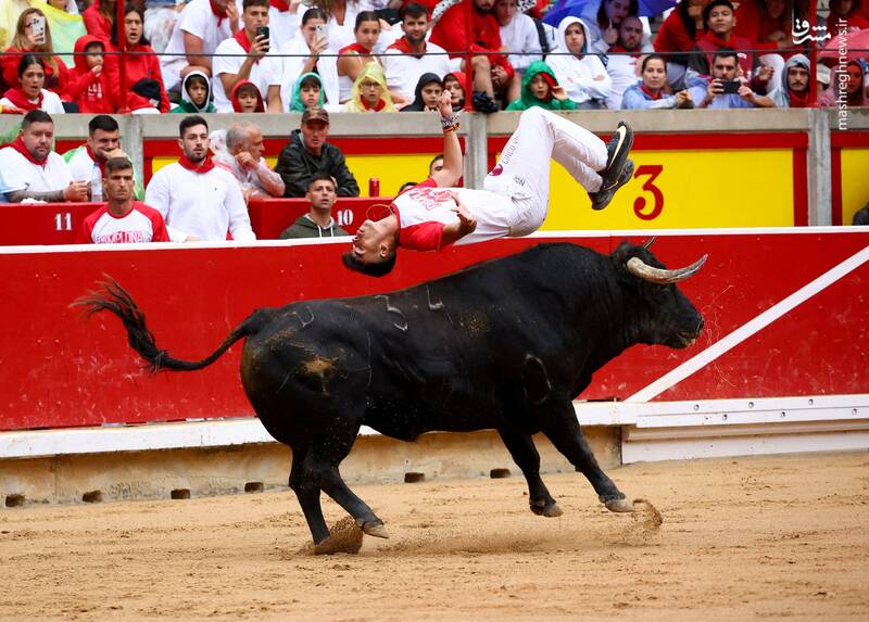 عکس/ گاو بازی اسپانیایی