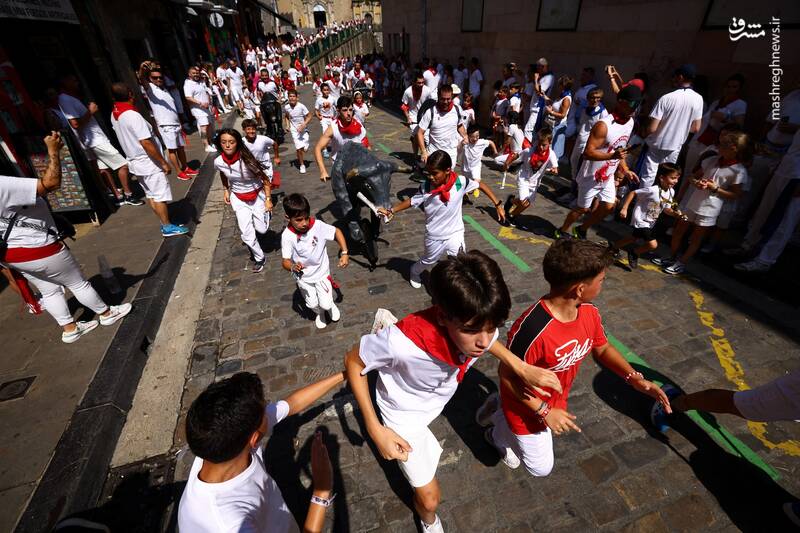 عکس/ گاو بازی اسپانیایی