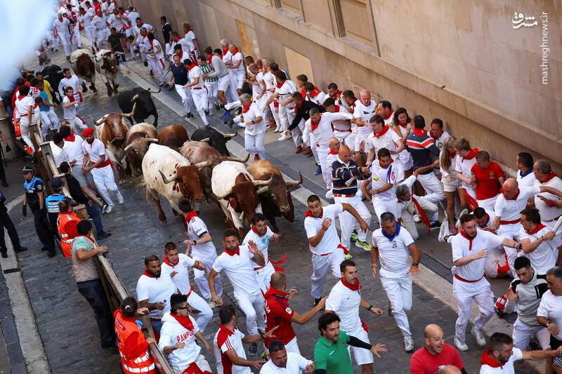 عکس/ گاو بازی اسپانیایی