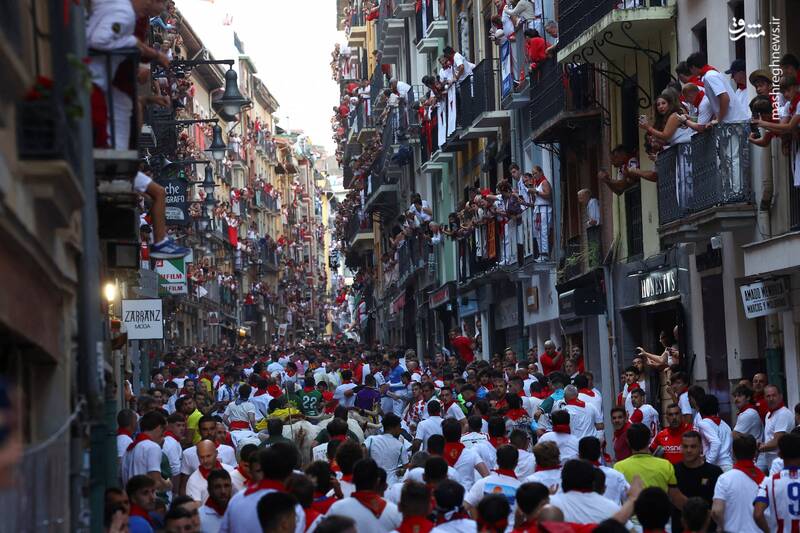 عکس/ گاو بازی اسپانیایی