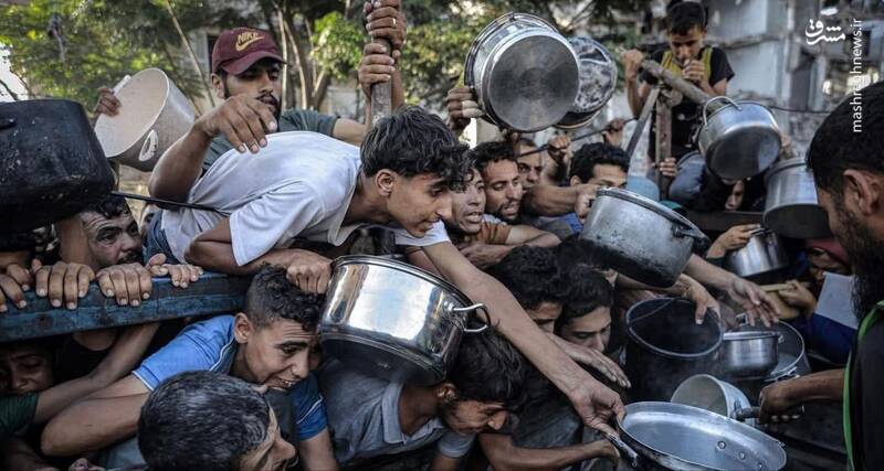 «همه در غزه گرسنهاند»