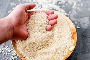 گرانی برنج زیر ذرهبین نهادهای قضایی