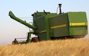 عکس/ برداشت گندم دیم از مزارع شهرستان اهر