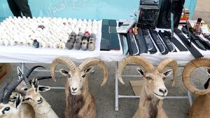 عکس/ کشفیات جدید پلیس کرمان از سارقان