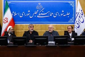 تاکید رئیس مجلس بر همراهی قوا برای حل مشکلات کشور