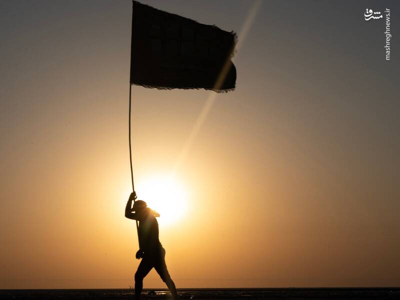 عکس/ قدم قدم تا خدا حرم حسین کربلا