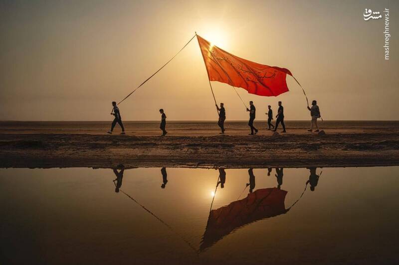 عکس/ قدم قدم تا خدا حرم حسین کربلا