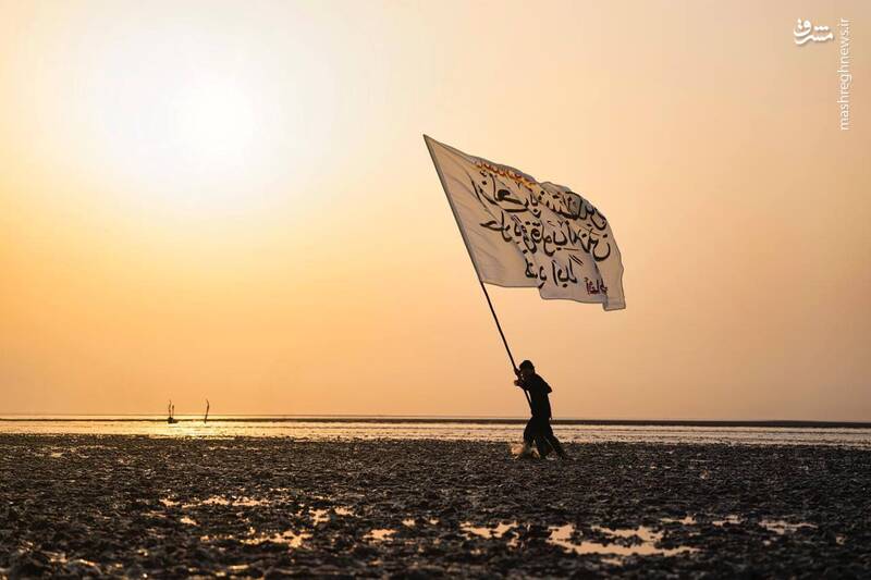 عکس/ قدم قدم تا خدا حرم حسین کربلا