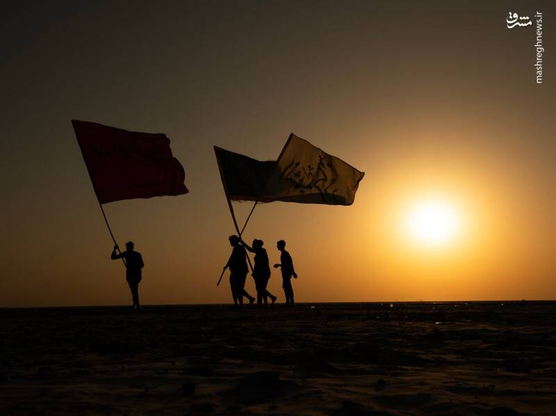 عکس/ قدم قدم تا خدا حرم حسین کربلا