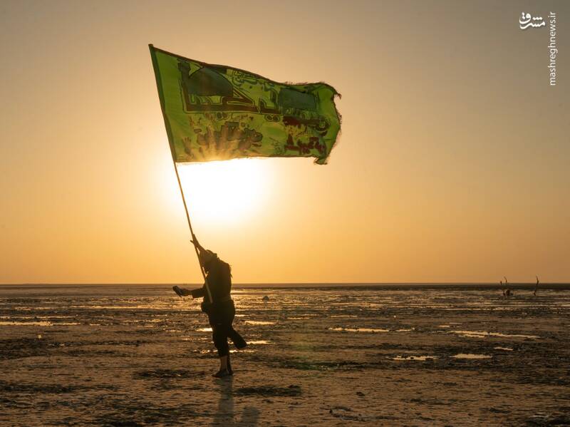 عکس/ قدم قدم تا خدا حرم حسین کربلا