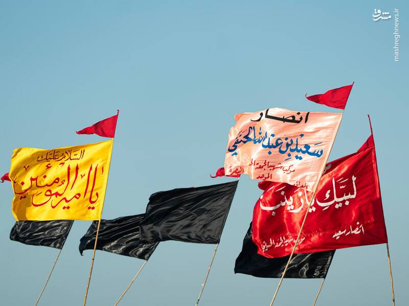 عکس/ قدم قدم تا خدا حرم حسین کربلا