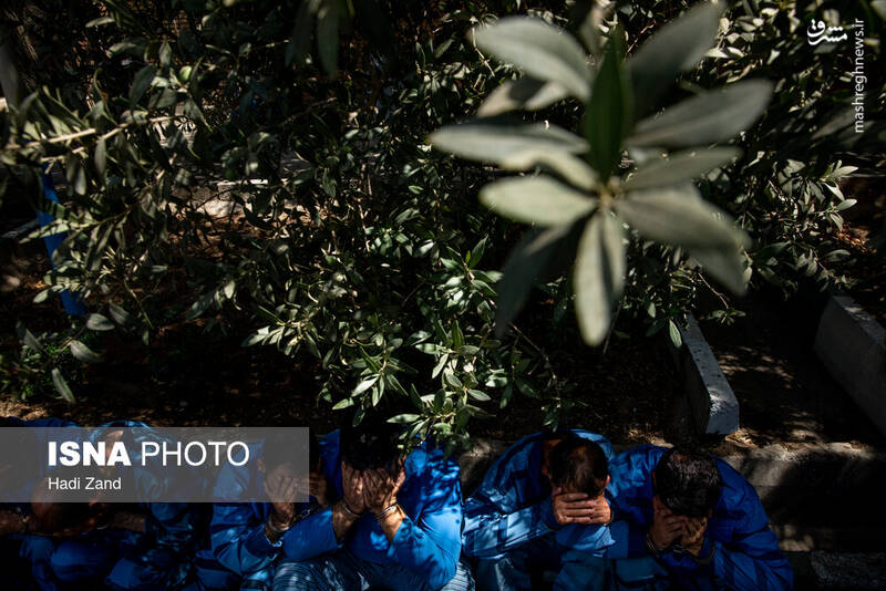 عکس / دستگیری سارقان خشن تهران 20