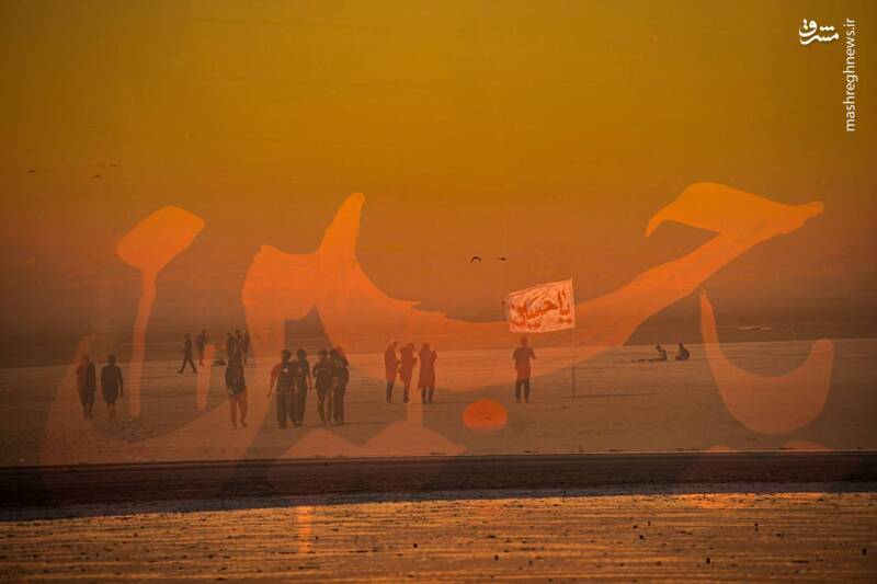 عکس/ قدم قدم تا خدا حرم حسین کربلا