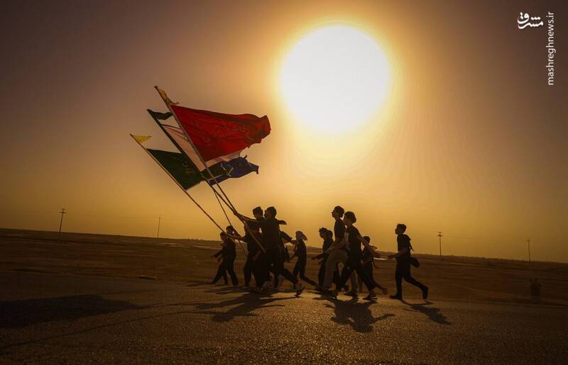 عکس/ قدم قدم تا خدا حرم حسین کربلا