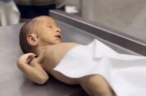 شهادت نوزاد ۴۰ روزه فلسطینی