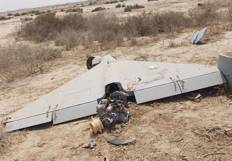 استان،بوشهر،مرزبانان،مرزباني،پاكسازي،خنثي