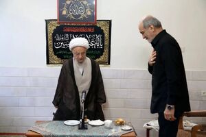 دیدار پزشکیان با آیت الله مکارم شیرازی + عکس