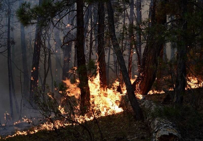 کشور ترکیه ,