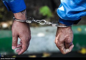 اشتباه بچه‌گانه سارق میلیاردی را لو داد