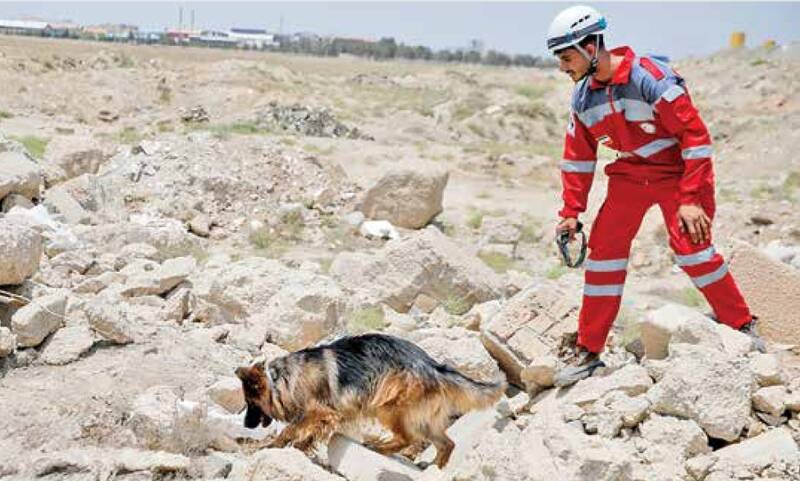 آوار،سگ،تجسس،ماكسي،احمر،هلال،نجات،پيكر،امداد،ژرمن،مربي،عمليا ...