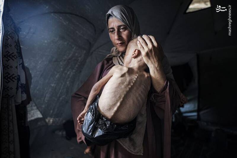 خداوند،يهود،فلسطين،يهوديان،حضرت،تعالي،قحطي،مصر،قتل،باب،كتاب، ...