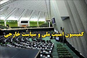 ارجاع مجدد لایحه ساماندهی پهپادهای غیرنظامی به کمیسیون امنیت ملی