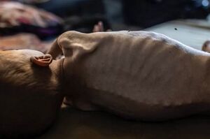 وضعیت این روزهای کودکان غزه+ عکس