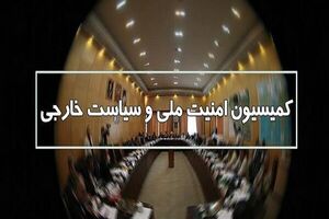 بررسی پیامدهای فعال‌سازی مکانیسم ماشه در کمیسیون امنیت ملی مجلس