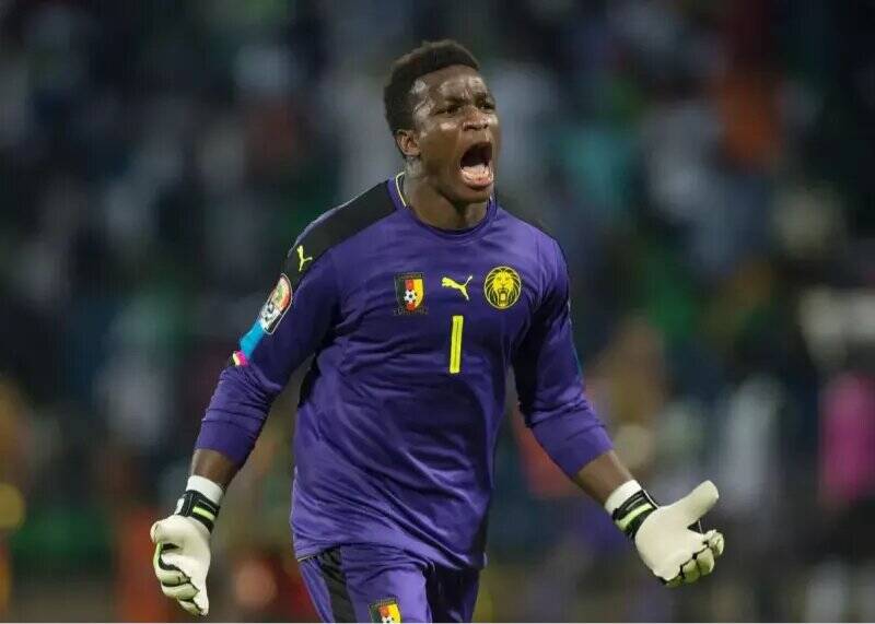 یک شیر رام نشدنی در راه استقلال