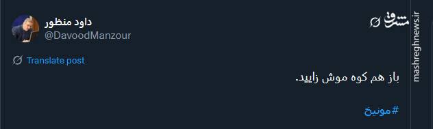 شکست رضا پهلوی در مونیخ؛ دستمایه طنز کاربران توئیتری