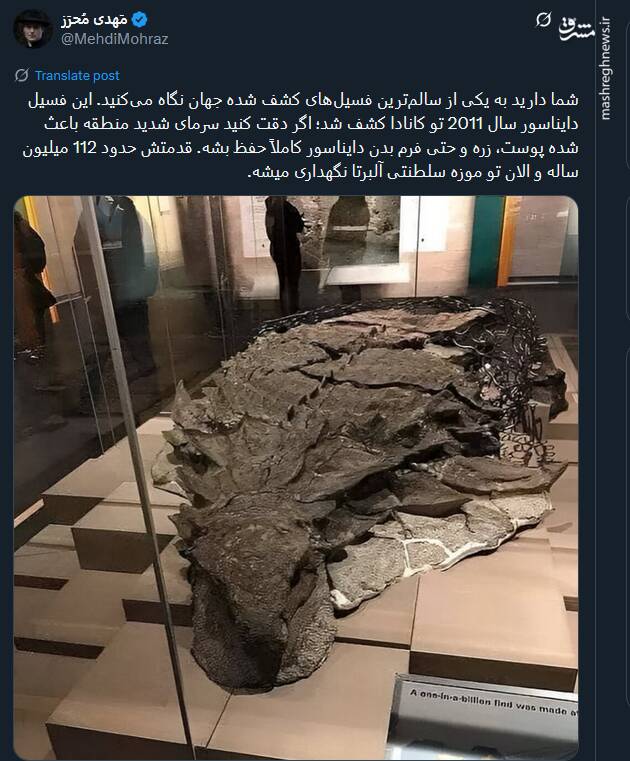 تصویری از سالمترین فسیل دایناسور در جهان