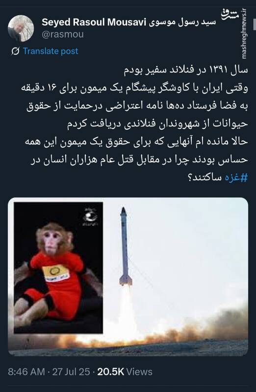 استاندارد دوگانه مردم فنلاند؛ نگران برای میمون؛ سکوت برای غزه!