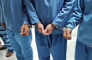 فیلم / دستگیری سارقان مامورنما