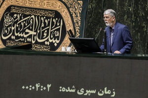 عکس/ حضور وزیر ارشاد در صحن علنی مجلس