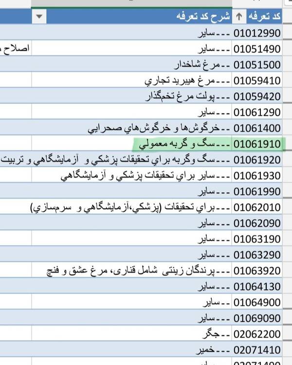 مجوز واردات سگ و گربه صادر شد