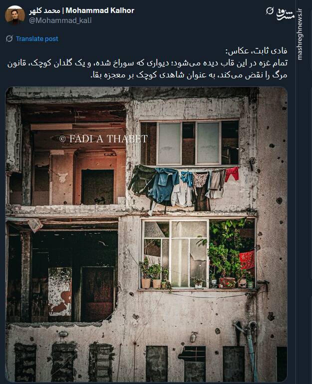 تمام غزه در این قاب دیده میشود