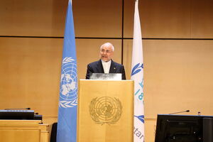 فیلم/ قالیباف: در برابر نسل‌کشی غزه نمی‌بایست تماشاچی بود