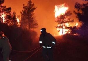 هشدار درباره ادامه آتش‌سوزی‌ها در ترکیه/۱۶۸ متهم بازداشت شدند