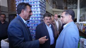 کشف فساد گسترده در شبکه توزیع برنج وارداتی پاکستانی