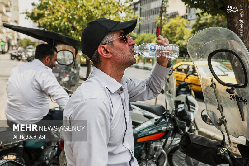 عکس / زیر تیغ گرما 17